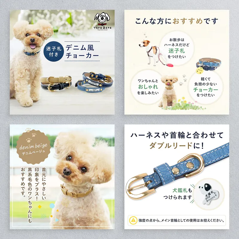 Pet care — dog collar, product image set